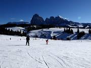 Anfängergelände am Schlepplift Ludy