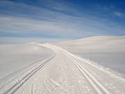 Loipe am Skeikampen auf 1123m