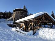 Tipp für die Kleinen  - Familien Coaster Schneisenfeger (Serfaus)