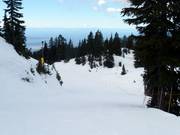 Abfahrt Noel's Flight