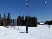 Rimmlermoos 1 C2 - Tellerlift