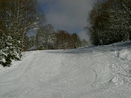 Pistenangebot Pilsner Region (Plzeňský kraj) – Pistenangebot Špičák