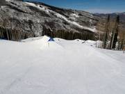 The Rodeo Park mit Halfpipe