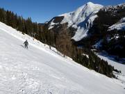 Schwarze Abfahrt Kuchlberg-Leit´n