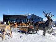 Gastronomie-Tipp Eagle