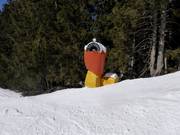 Mobile Beschneiungsanlagen im Skigebiet