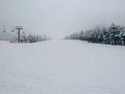 Abfahrt Antelao Cino Menegus