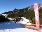 Alleghe Central Park