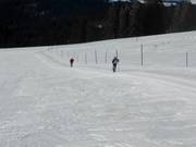 Der Fernskiwanderweg Schonach-Belchen, hier unterhalb vom Stübenwasen