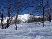 Tiefschneeparadies in Niseko