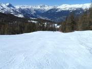 Waldabfahrt in Sauze d'Oulx