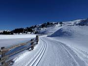 Höhenloipe Platschjoch