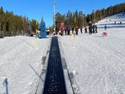 TR2 Rullband Skidskoleliften - Förderband/Zauberteppich