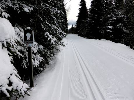 Langlauf Schwarzwald – Langlauf Todtnauberg