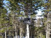 Sehr beliebt sind die Abfahrten durch ausgeholzte Wälder (Gladed Runs)