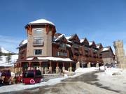 Treeline Coffee Roasters