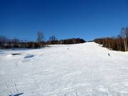 Skihang Åslia Skisenter