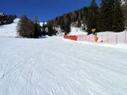 Übungspiste Campo Scuola Gardoné oberhalb vom Predazzo