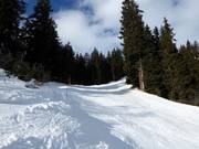Schwarze Talabfahrt nach Disentis