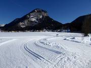 Schöne Loipen in Bad Häring