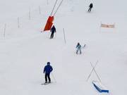 Le Waidzai Park de Rochebrune