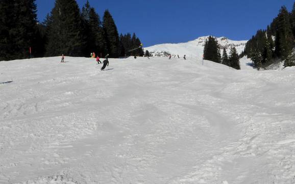 Skigebiete für Anfänger im Haslital – Anfänger Meiringen-Hasliberg