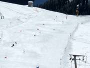 Rennstrecke am Alblittlift