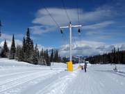 Home Run Tee - Schlepplift mit T-Bügel/Anker