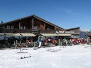 Alphof Rossstelle (Mellau)