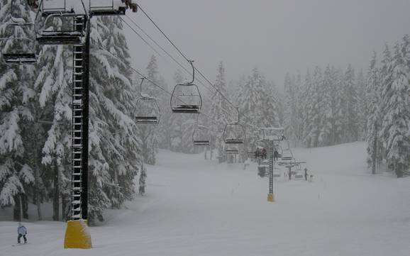 Größter Höhenunterschied am Mount Hood – Skigebiet Timberline