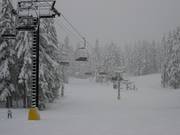 Neuschnee im Skigebiet Timberline