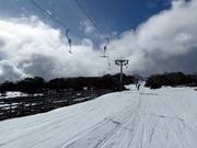 Piper T-Bar - Schlepplift mit T-Bügel/Anker