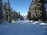 Leichte Sattelabfahrt