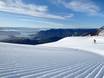 Südinsel: Testberichte von Skigebieten – Testbericht Treble Cone