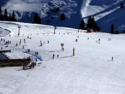 Anfängergelände am Schlepplift Ludy