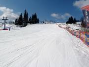 Die leichte Piste von Witów