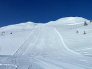 Carvingträume am Windegga