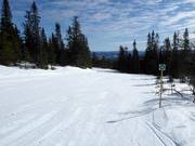 Ganz leichte Piste Nr. 16