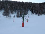 Palipert - Tellerlift