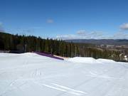 Terrengparken i Varingskollen
