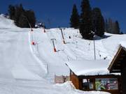 Ottifantenlift - Tellerlift