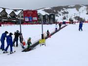 Tommy Knocker - Förderband/Zauberteppich