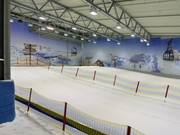 Blick auf den Anfängerbereich von der Sesselbahn aus