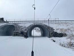 Natt Alpin (Snøreven)