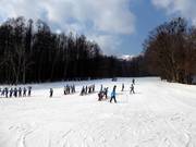 Anfänger beim Furano Prince Hotel