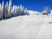 Mittelschwere Abfahrt Exhibition