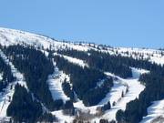 Blick auf die Pisten im Voss Resort