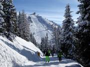 Blick auf die schwere Panorama-Abfahrt am Hauser Kaibling
