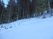 Wirksamer Absperrschutz der Waldgebiete