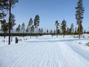 Ganz leichte Piste im Skigebiet Idre Himmelfjäll